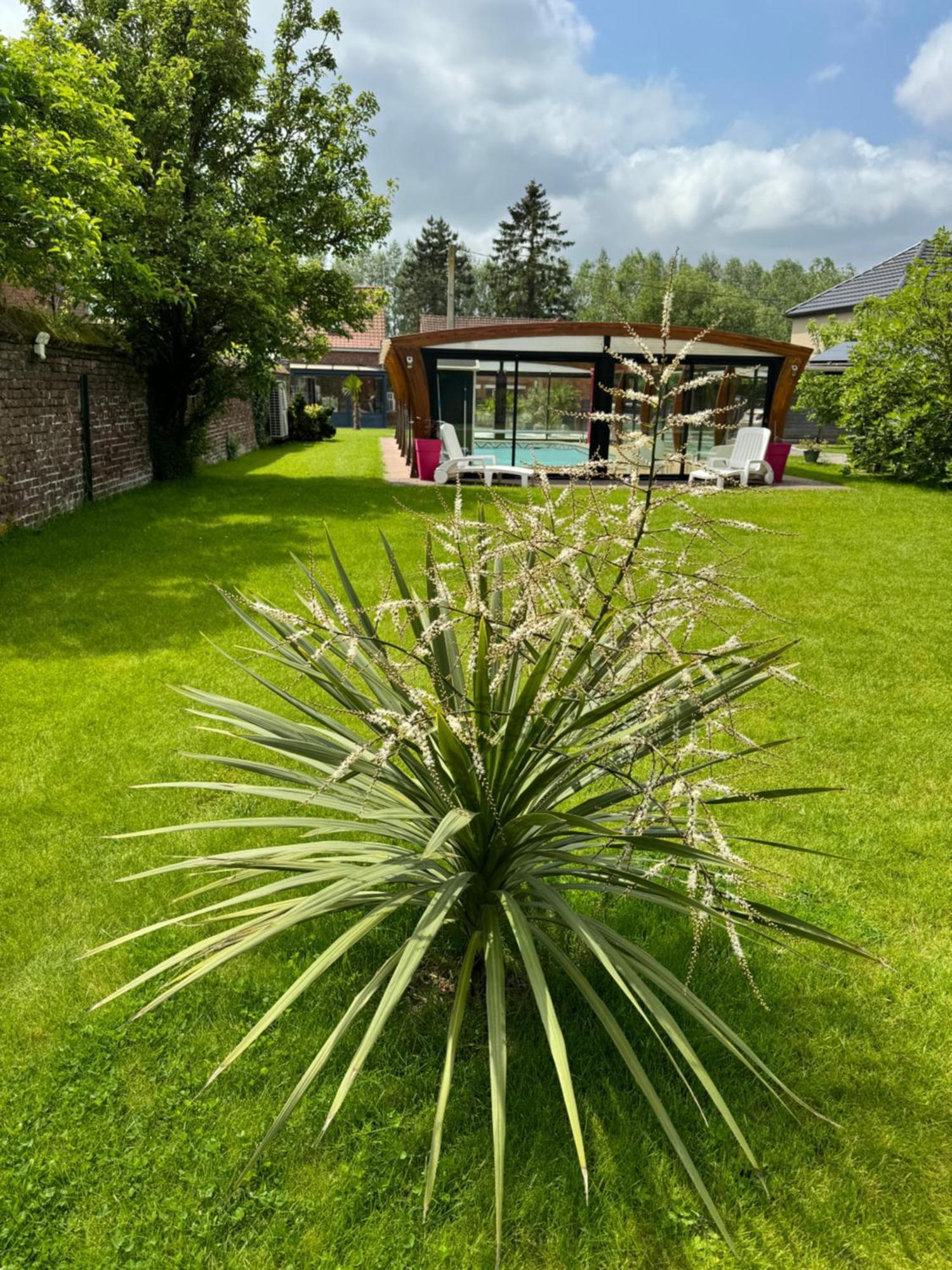 Avec Piscine Lestrem